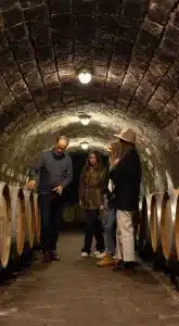 Wine tasting in the footsteps of Botrytis